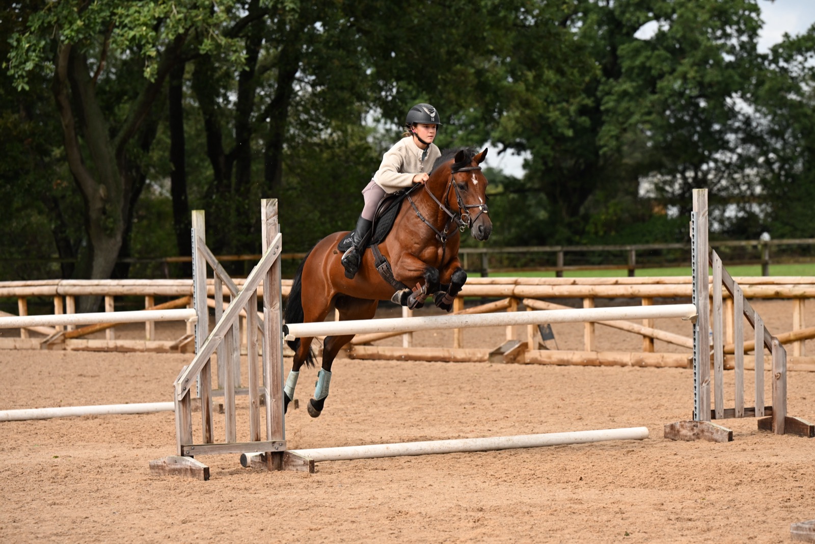 Frankie Saeed showjumping