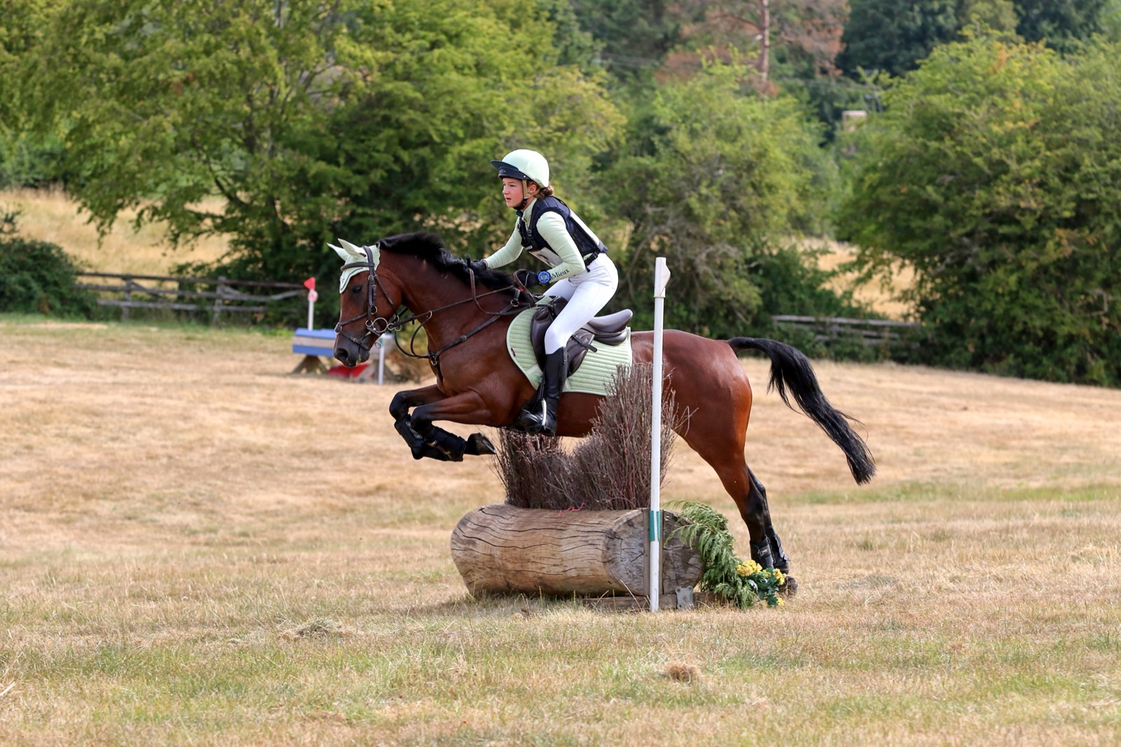 Frankie Saeed showjumping